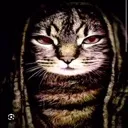 CatVon