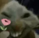 xdxflower