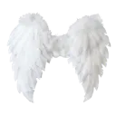wings