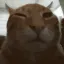 buh