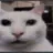michi