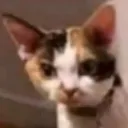 DontYouDareMe
