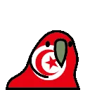 tunisiaParrot