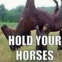 holdyourhorses