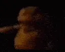 freddyshots
