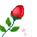 redrosee