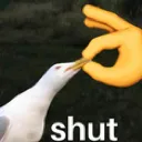 shut