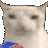 cat_eating