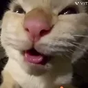 Muhehe