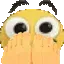 vietFeet