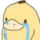 sad_duck sad_duck