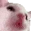 jah