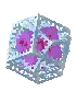 end_crystal