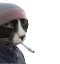 brah