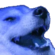 blurplekek