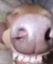 1126289628975087697