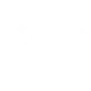 w_butterfly