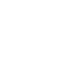 B_butterfly004