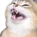 catlul