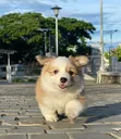 cute