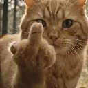 MeowYu