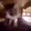 catExcited