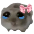 SadHamster