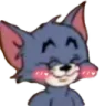 TomBlush