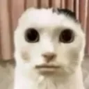 100yardstare