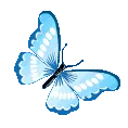 071A_butterfly_blue