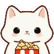 popcornkitty