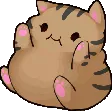 catfat