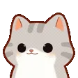 yapkitty