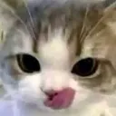 yum