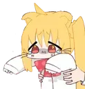 NijikaBwaa