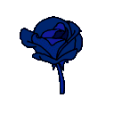 SnowFall_rose_blue