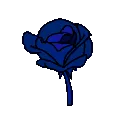 SnowFall_rose_blue