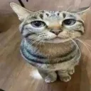 emoji_6 emoji_6