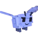 moth