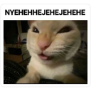 IMG_2075 Discord emoji
