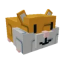 hamster