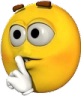 shh58 Discord emoji