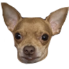 ogie Discord emoji