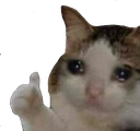 thumbsup Discord emoji