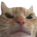 AngryCat Discord emoji