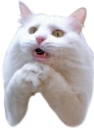 plscat Discord emoji