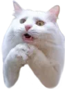 plscat