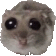 hammy Discord emoji