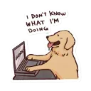i_dont_know_what_imdoing