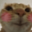 blush Discord emoji